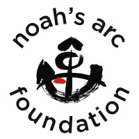 Noah's arc foundation