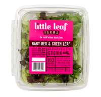 Baby Greens, Salad Greens Farm | Exeter, RI