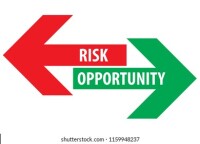 Risk opportunities inc.