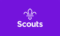 The scout association
