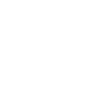 South shore equine clinic inc