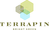 Terrapin bright green