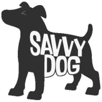 The savvy dog