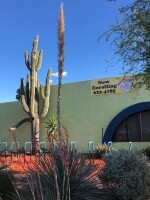 Tucson preparatory school