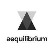 Aequilibrium software