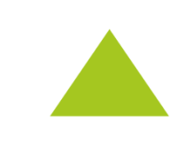 Argus secure technology llc