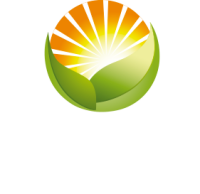 Aurora grocery group