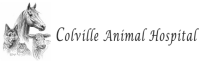Colville animal hospital