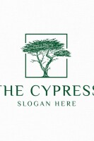 Cypress graphics
