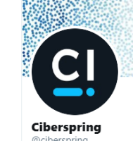 Ciberspring Technologies