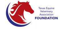 Equine veterinary services - texas