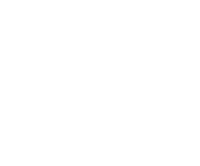 Exclusive wood doors