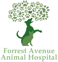 Forest ave veterinary hospital