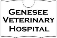 Genesee veterinary hospital