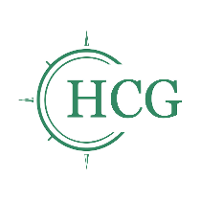 Hayden consulting group
