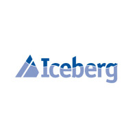 Iceberg networks corporation