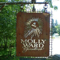 Molly ward gardens
