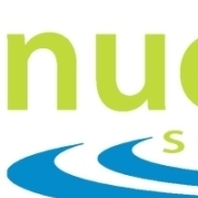 Nucentric solutions