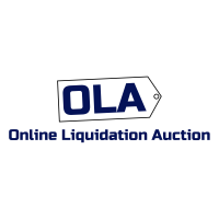 Online liquidation auction llc