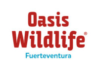 Oasis Fuerteventura
