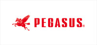 Pegasus corporation of america