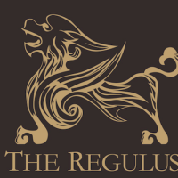 The regulus black card llc