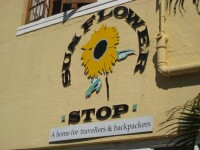 Sunflower Stop Backpackers Hostel Cape Town