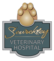 Sewickley veterinary hospital