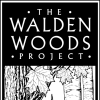 Walden woods project