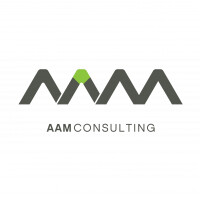 Aam management information consulting ltd.