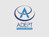 Adept cleaning systems