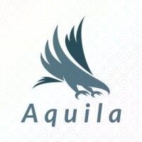 Aquila media