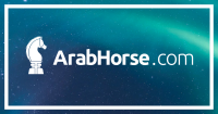 Arabhorse.com