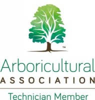 Arbor vitae professional tree services