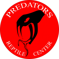 Arizona reptile center