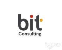 BIT Consulting 2013