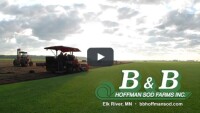 B & b hoffman sod farms inc