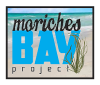Moriches Bay Project