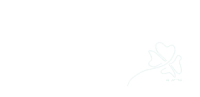 Blarney stone marketing & design