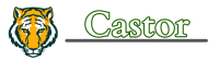 Castor high school