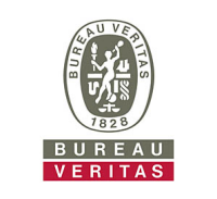 Bureau veritas india private limited