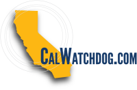Calwatchdog