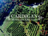 Cardigan mountain orchard