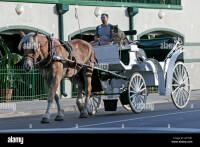 Carriage tours of memphis