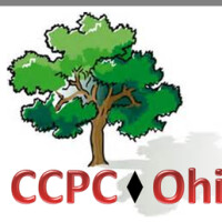 The counseling & cooperative parenting center of ohio, llc
