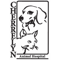 Cherrelyn animal hospital