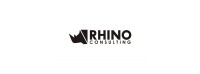 Clever rhino consulting