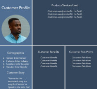 Consumer profiles inc