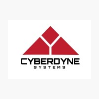 Cyberdyne consulting