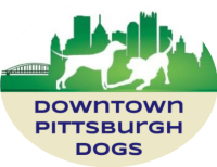 Downtown pittsburgh dogs